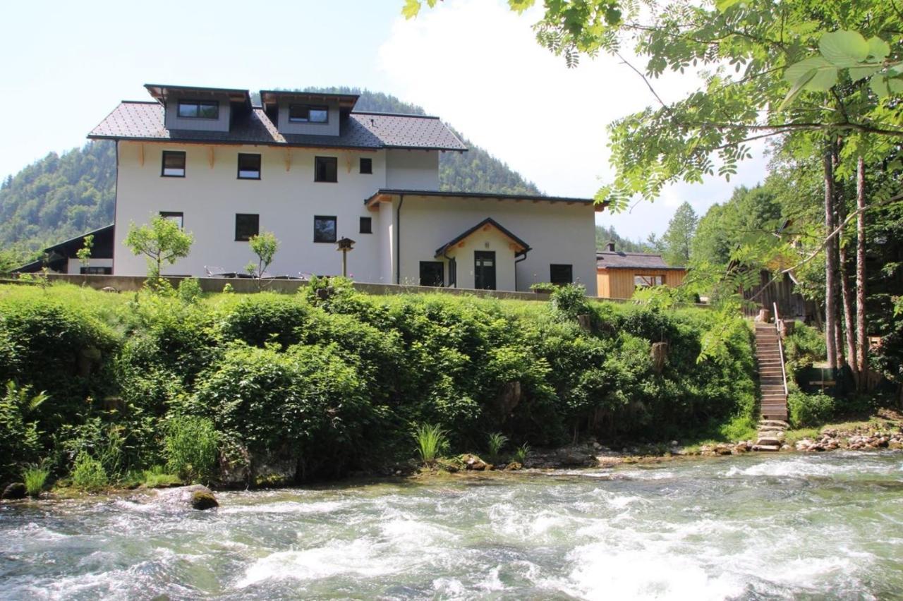 Appartement Traun-haft *